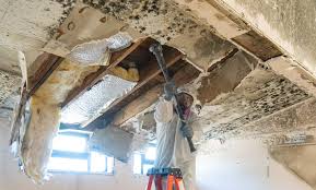 Best Mold Prevention Services  in Laguna Beach, CA